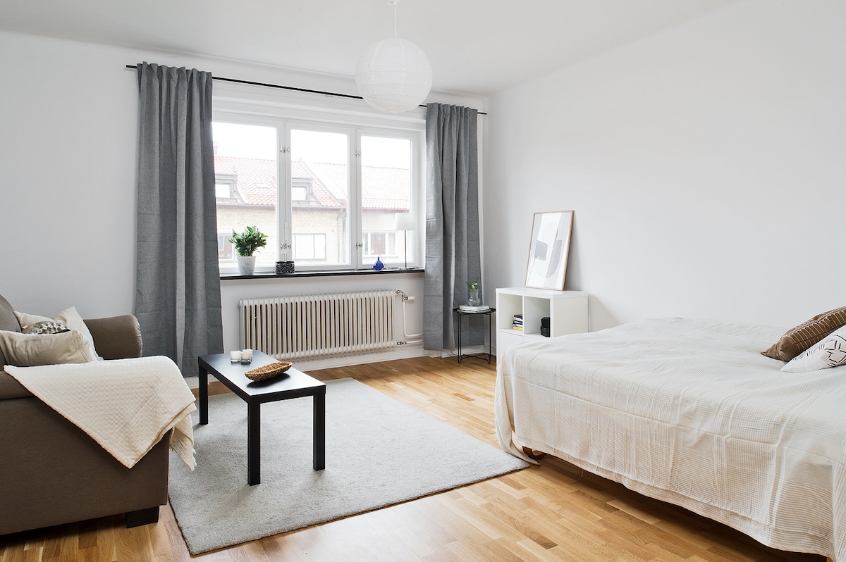 Renovated Apartment in The Heart of Malmö