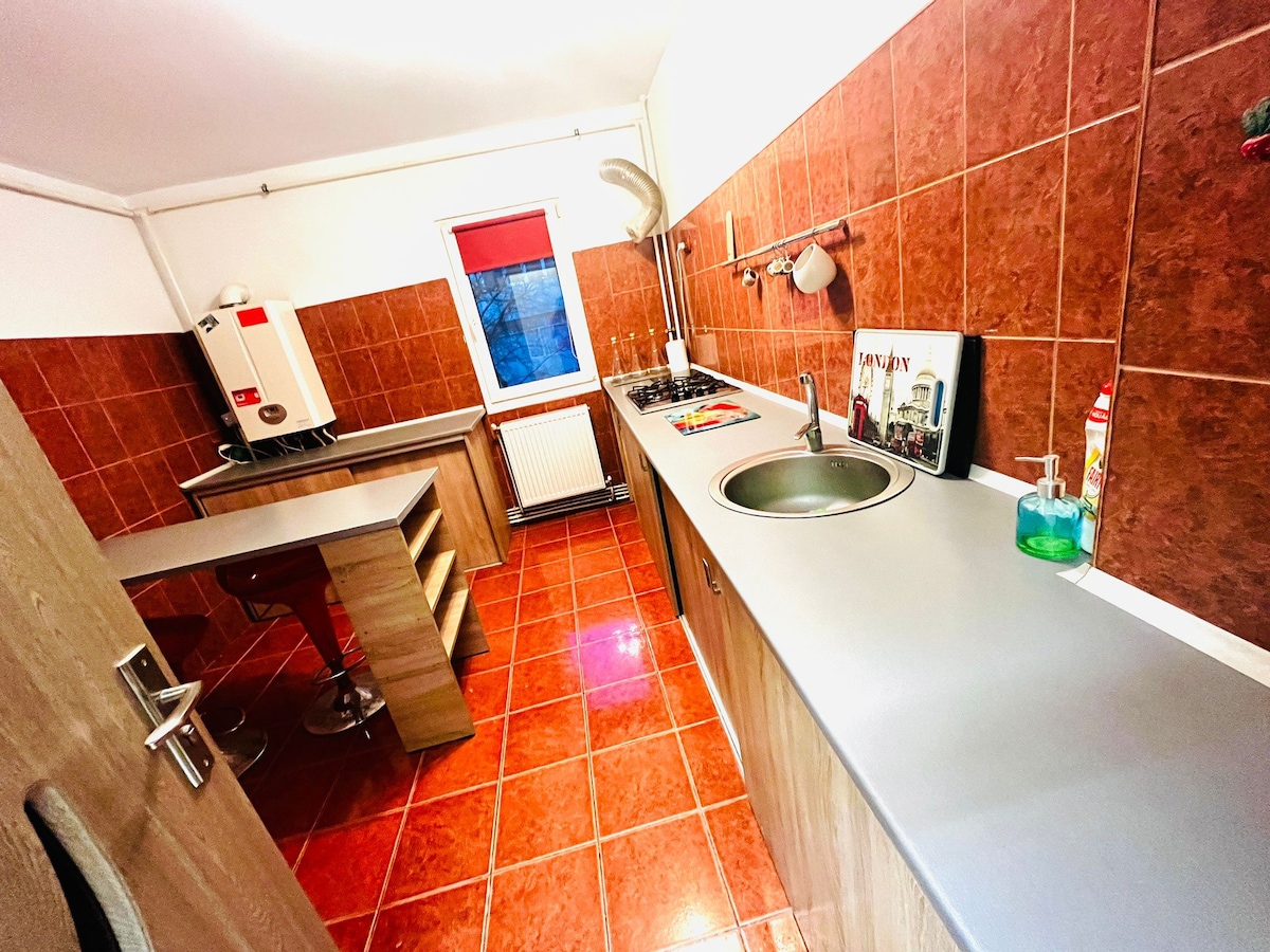 Apartament 2 camere/PetFriendly