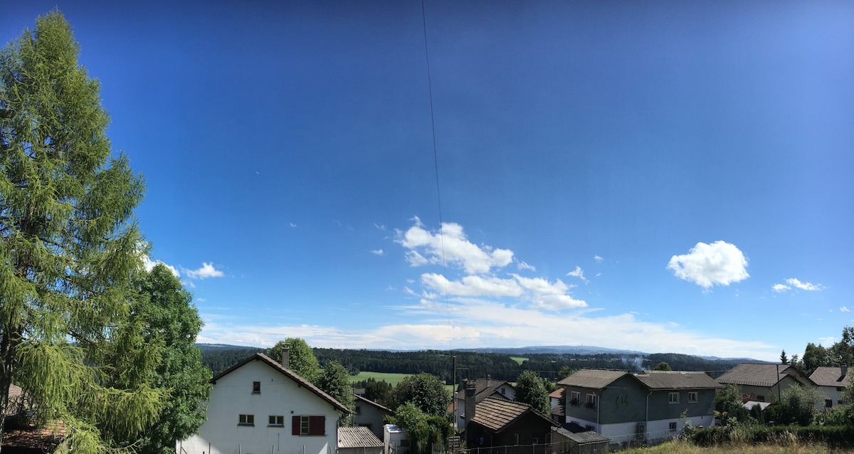 Chalet Chavannes, vista sulle Alpi