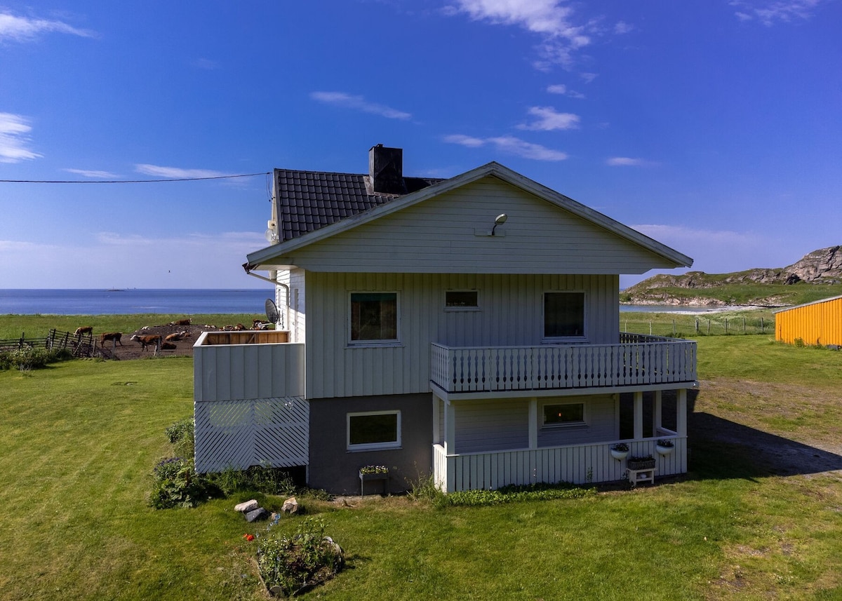 Andøy海滨之家