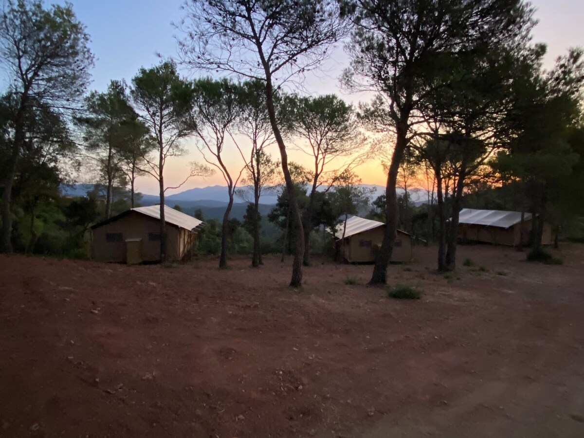 Tent Deluxe -VALL de CODÓ