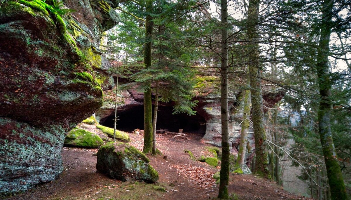 Grand chalet canadien, Vosges du Nord-14 couchages