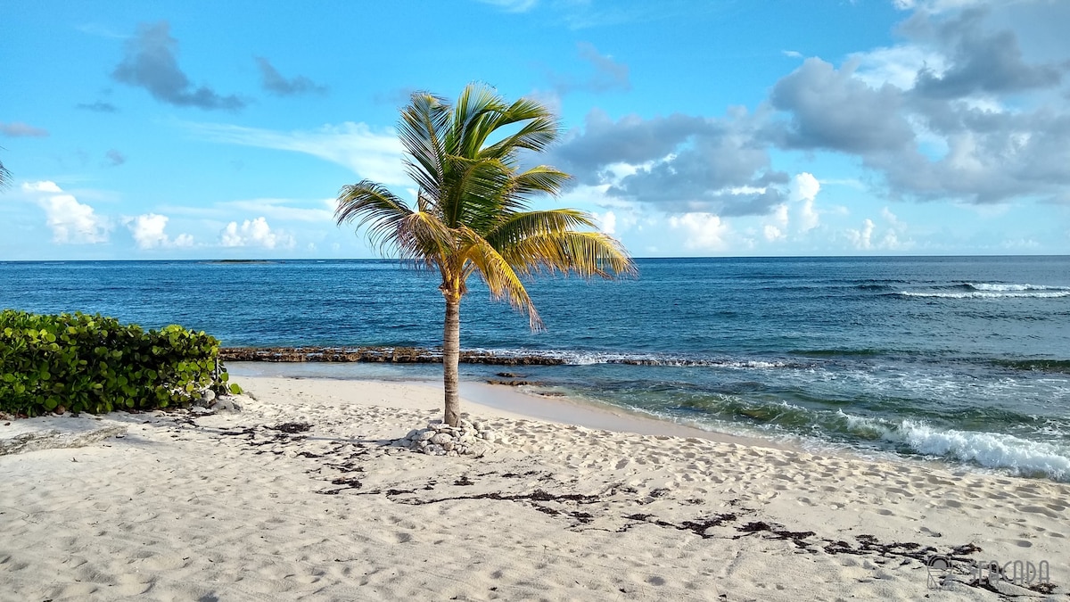 Seacada- Beachfront | Pool | Panoramic Sunsets