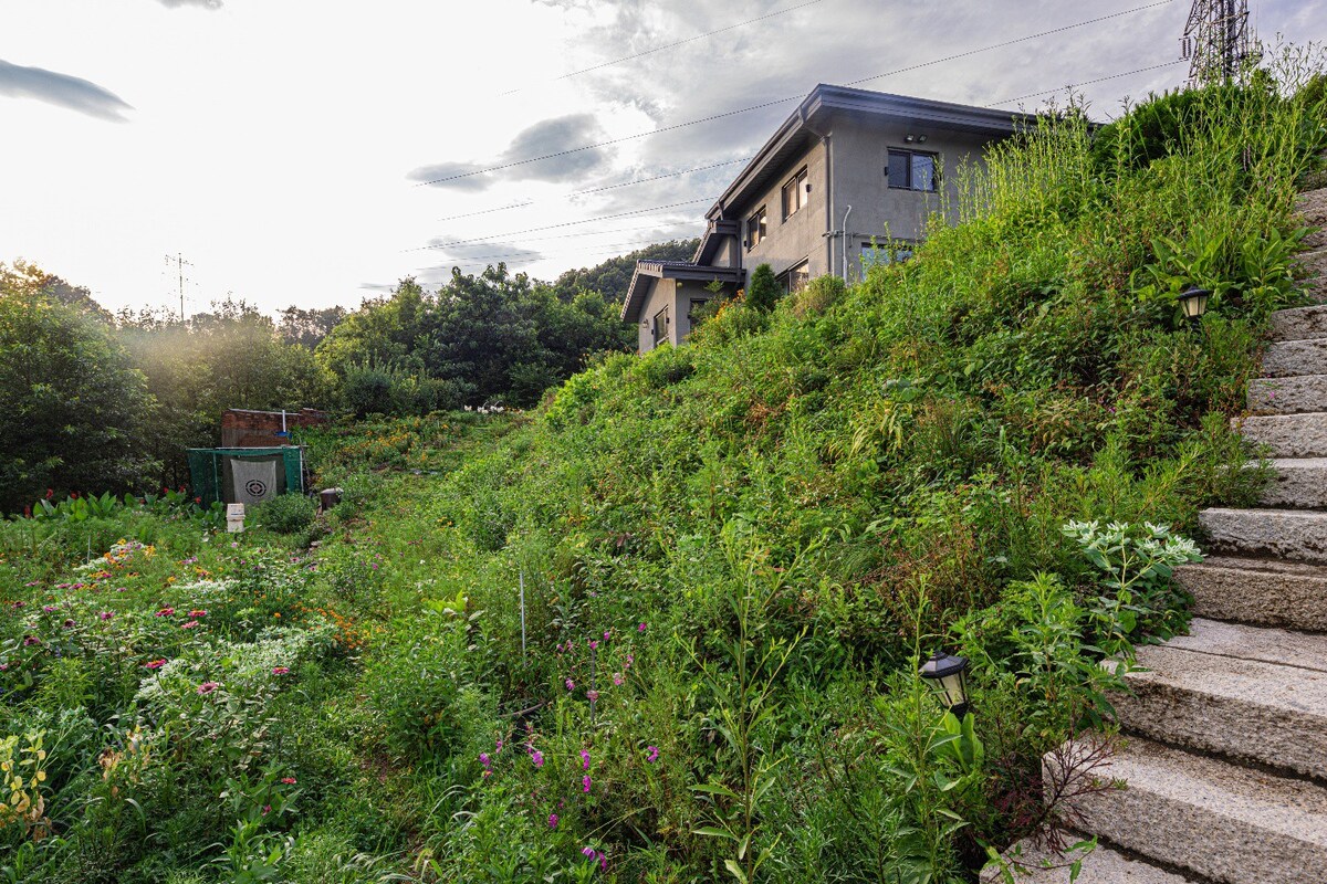 美丽的乡村小屋，可欣赏Bukhan河的美景（独立住宅）