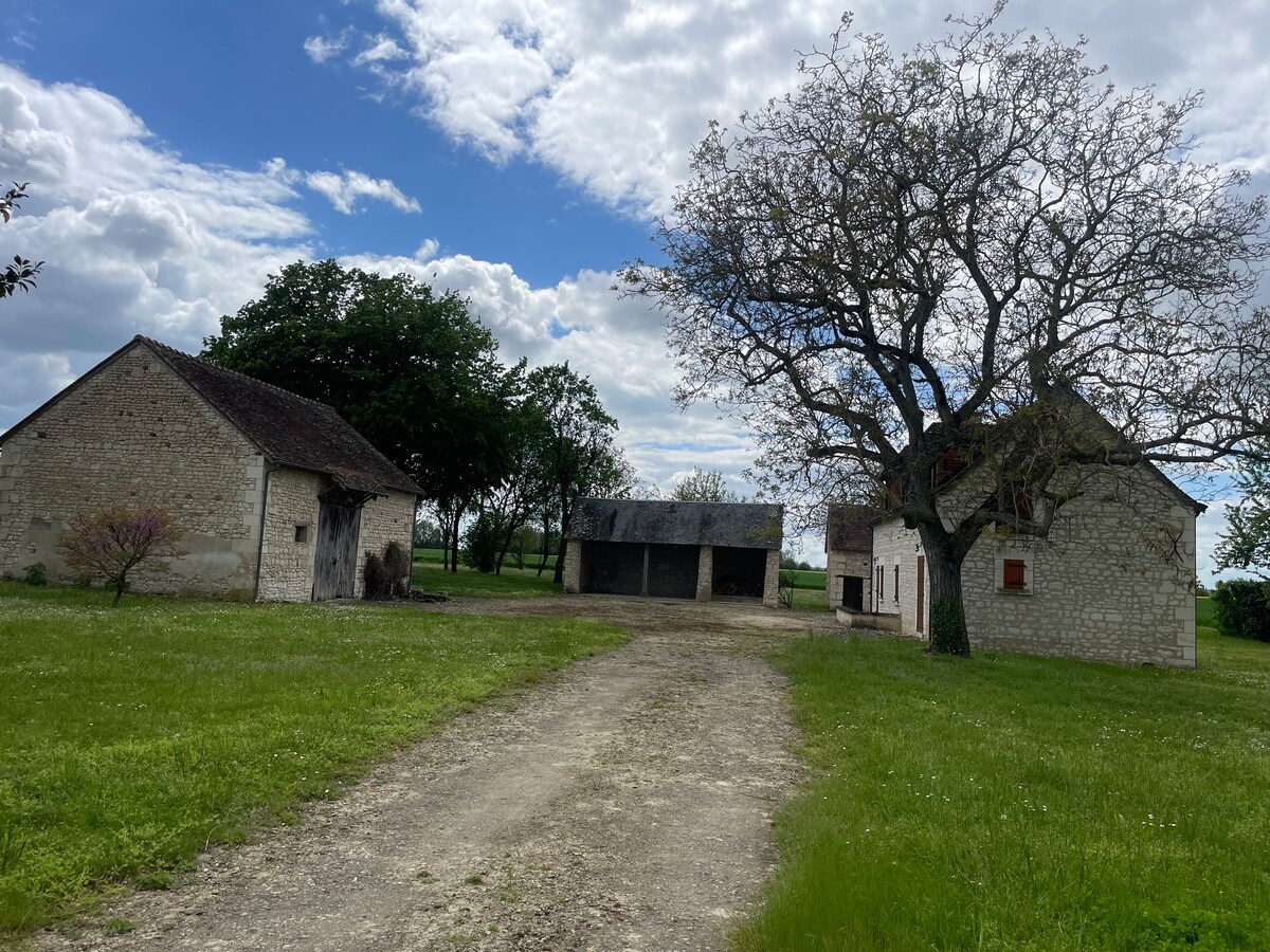 Maison - Campagne- Sainte Maure de Touraine