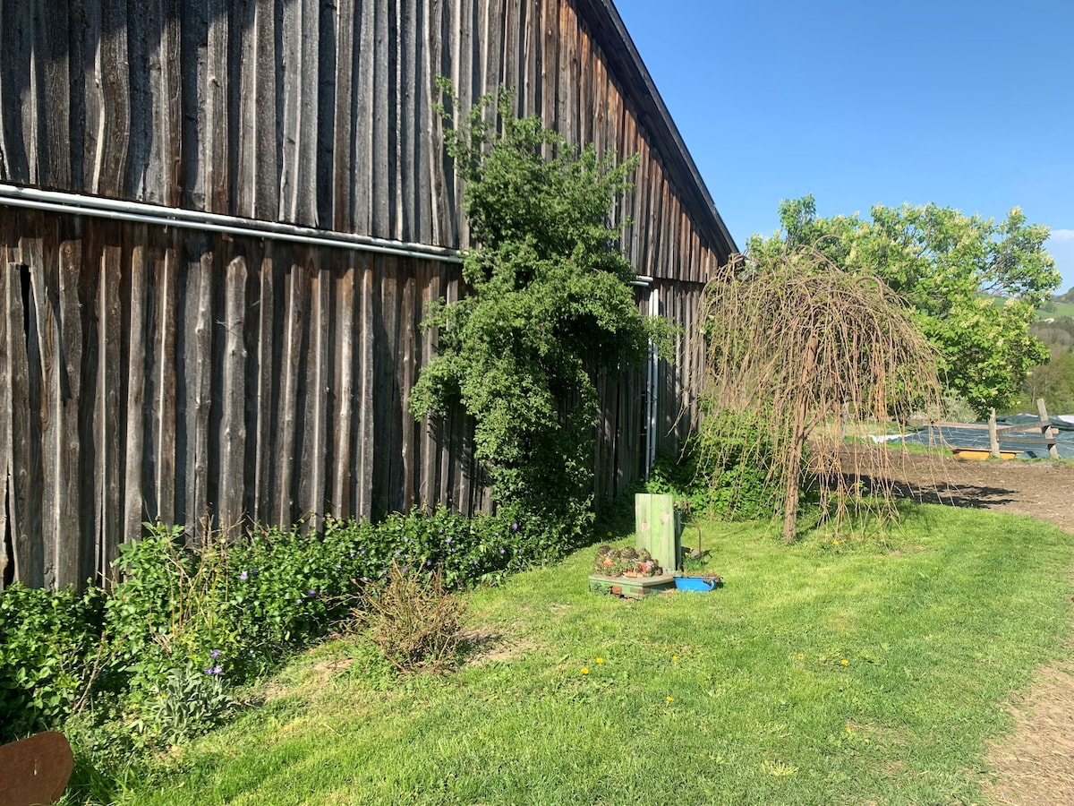 Ferienwohnung Waldköhlerei