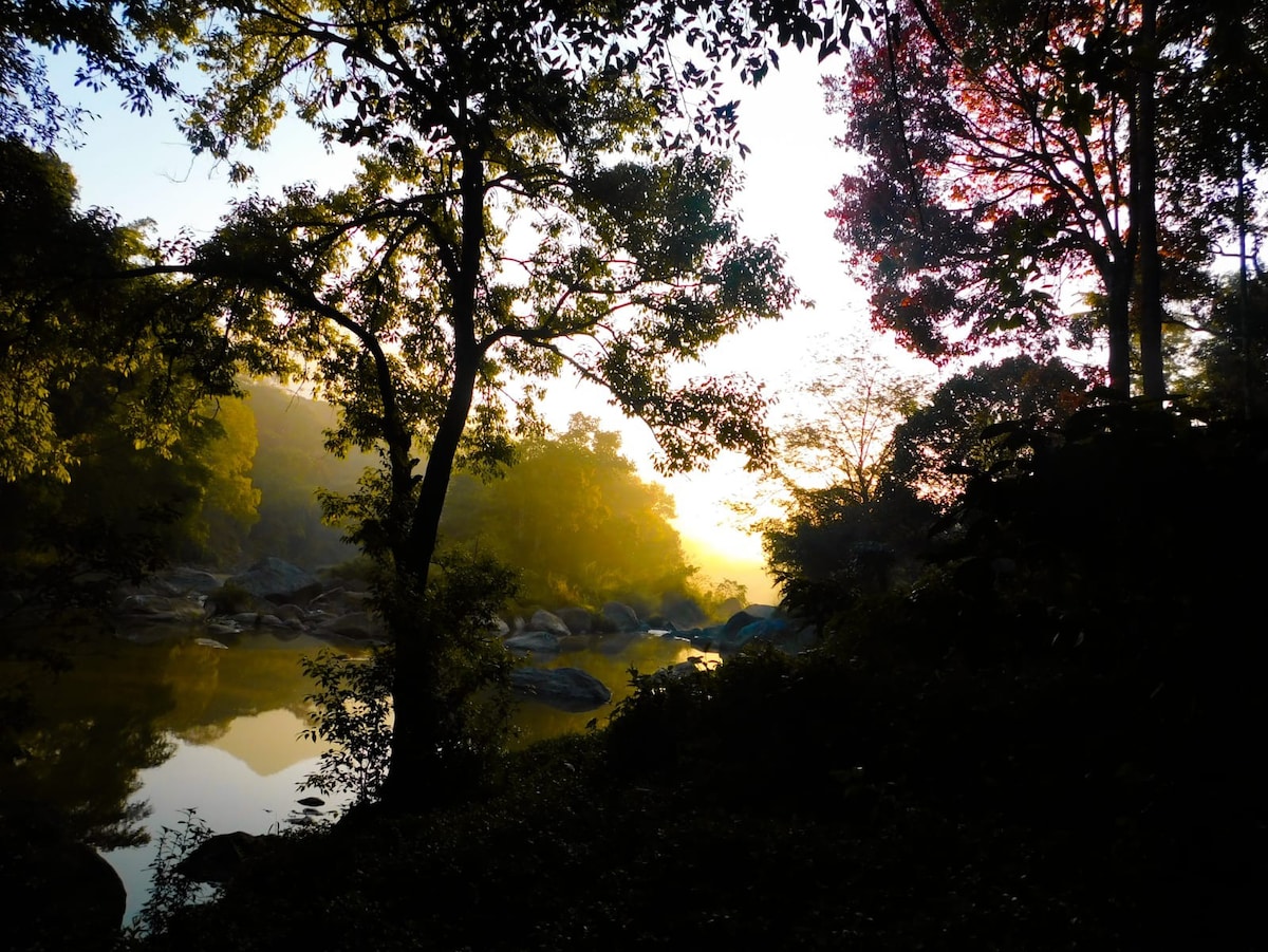 豪华帐篷gramam munnar