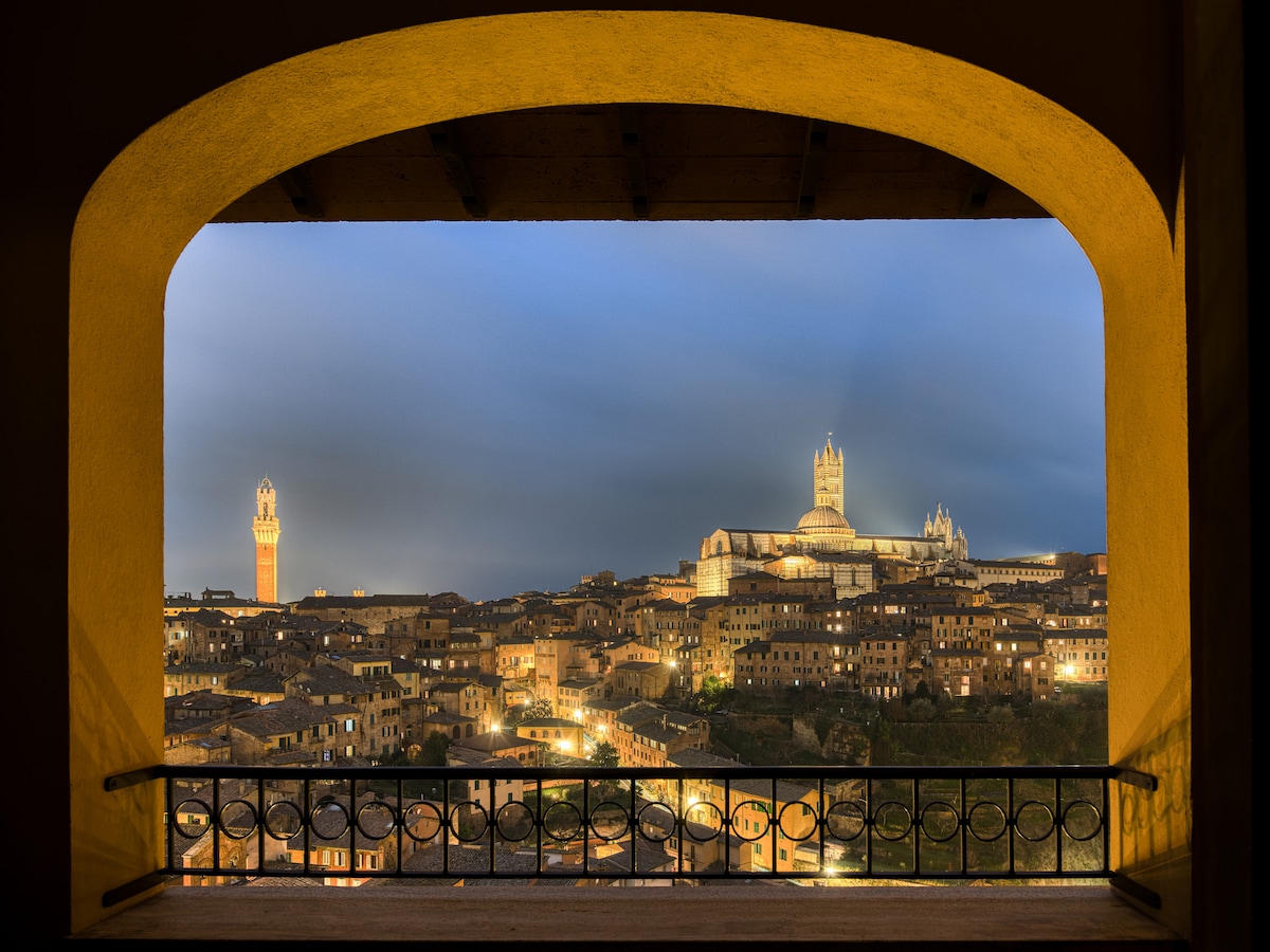 顶层公寓，可欣赏锡耶纳（ Siena ）的美景