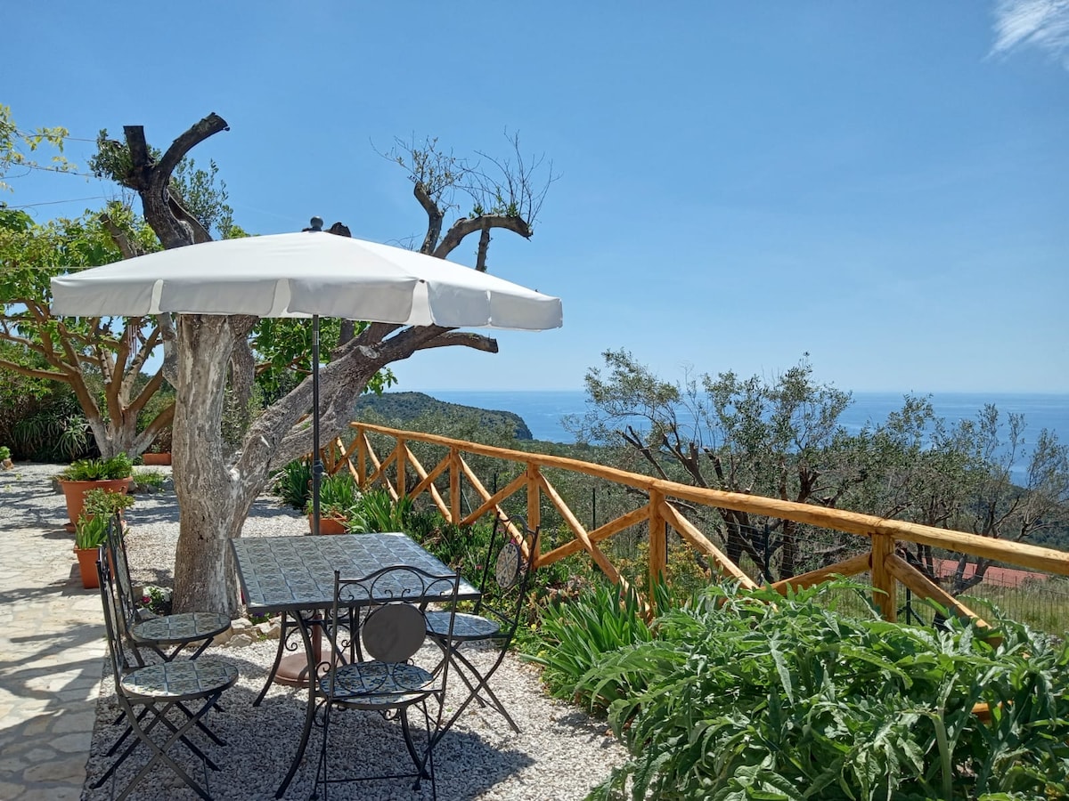 La Terrazza-Glicine, nuovo, con vista mare!