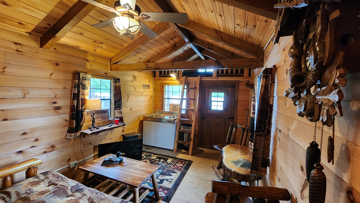 Waterfront Cabin with Hot Tub! Kayaks & Canoes!