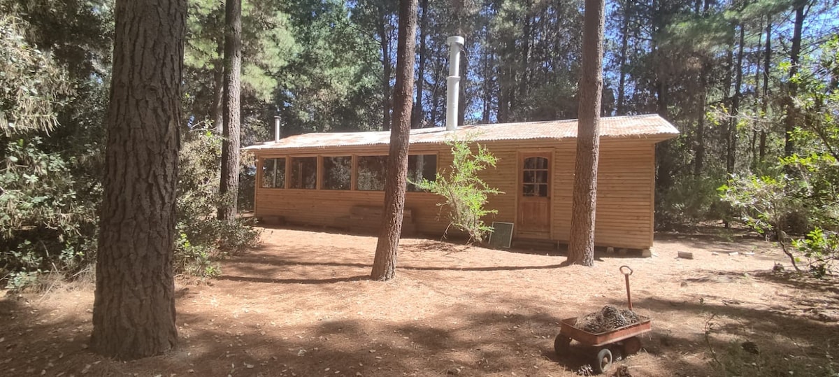 Casa quincho en el bosque.