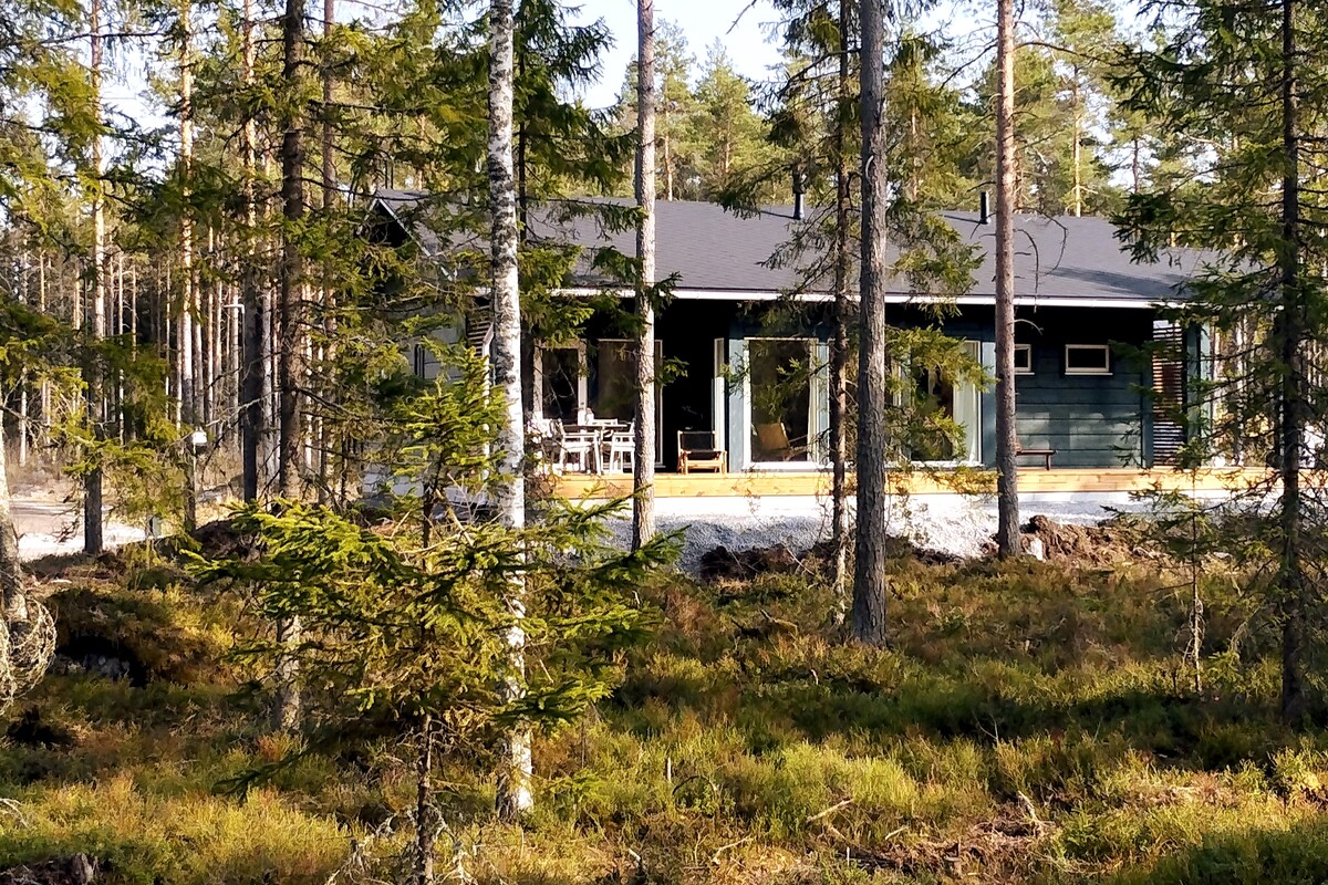 带森林景观的木屋房屋