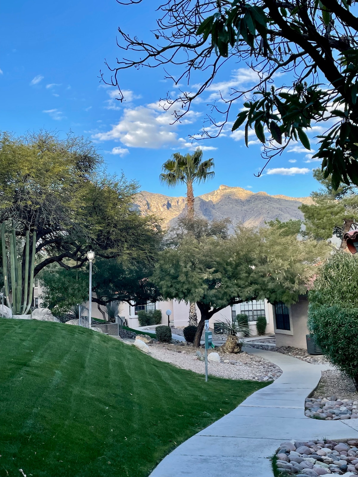 Catalina Foothills Getaway