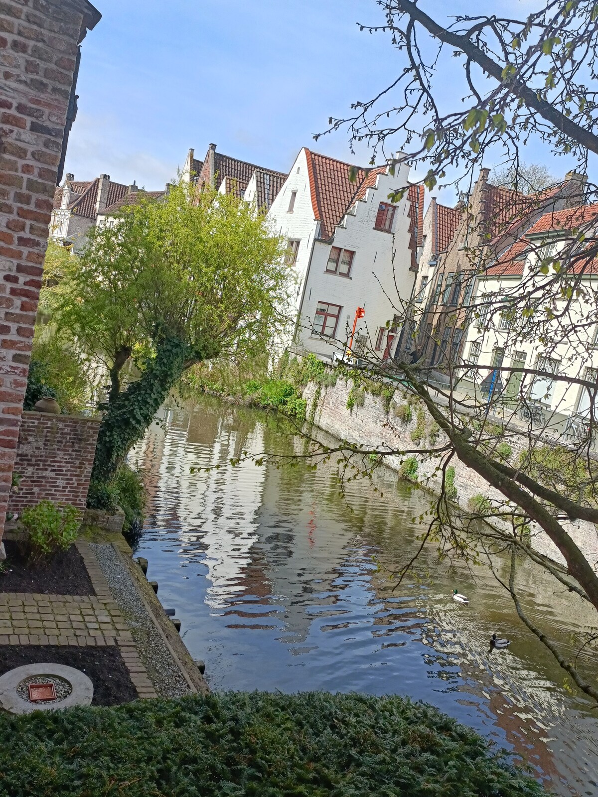 Andreas - centre of Bruges