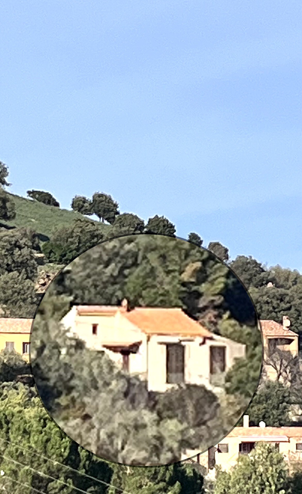 maison individuelle avec jardin