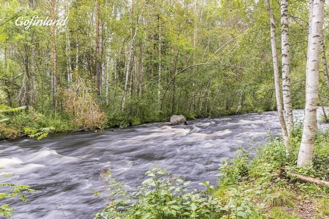 Komea hirsimökki omassa rauhassa luonnon keskellä