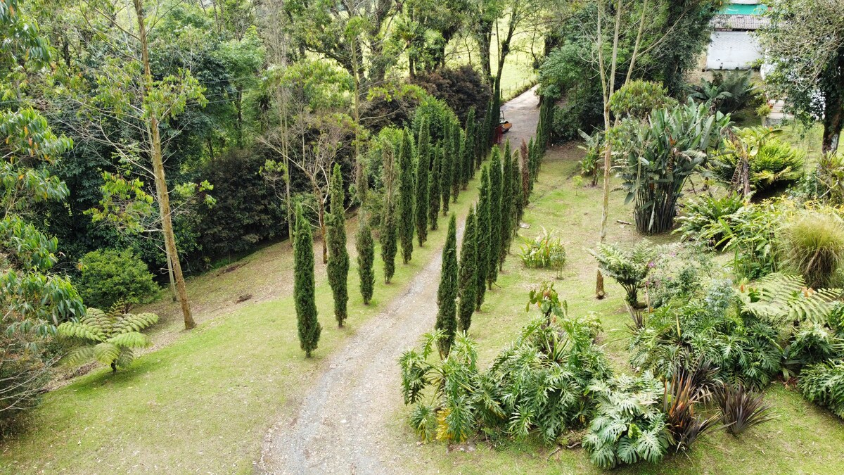 瓜达卢佩自然保护区