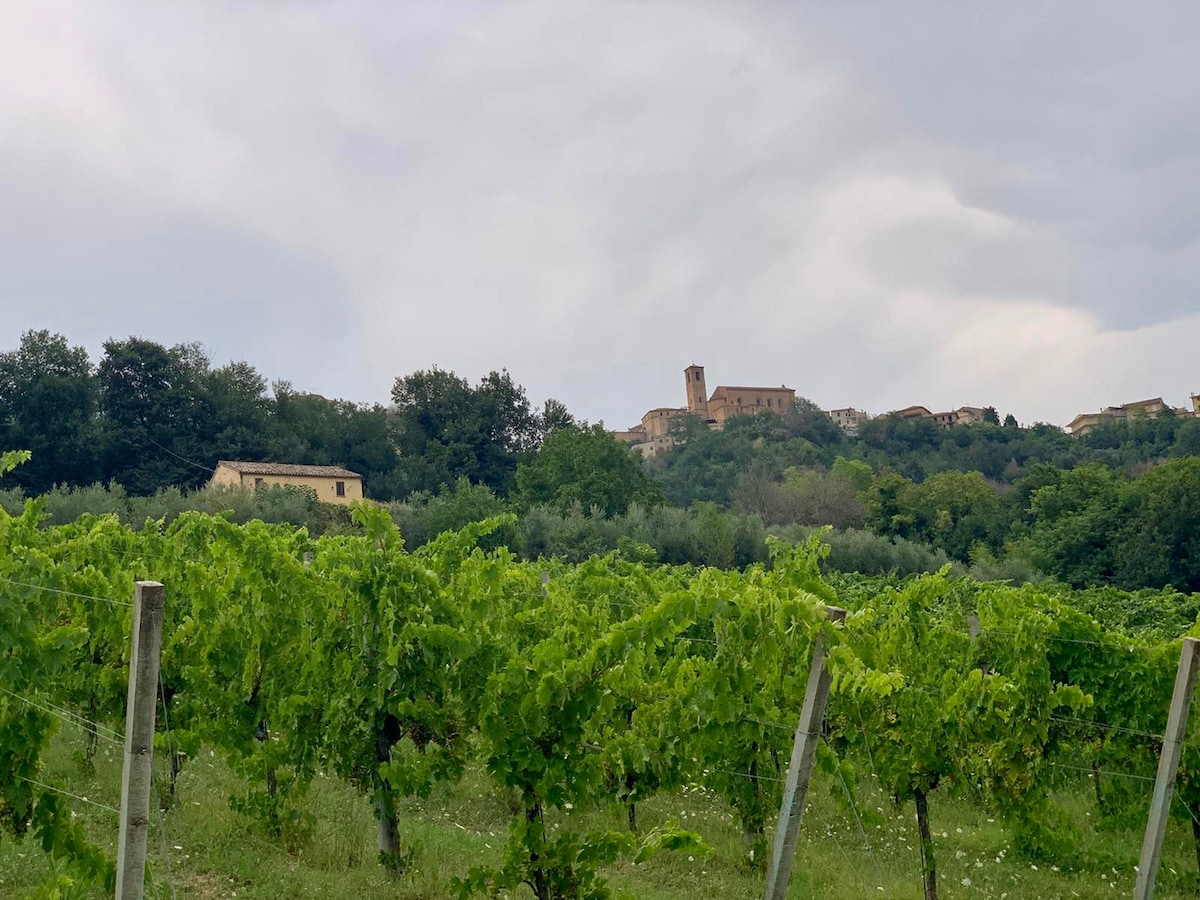 Vineyard Farmhouse in Massignano