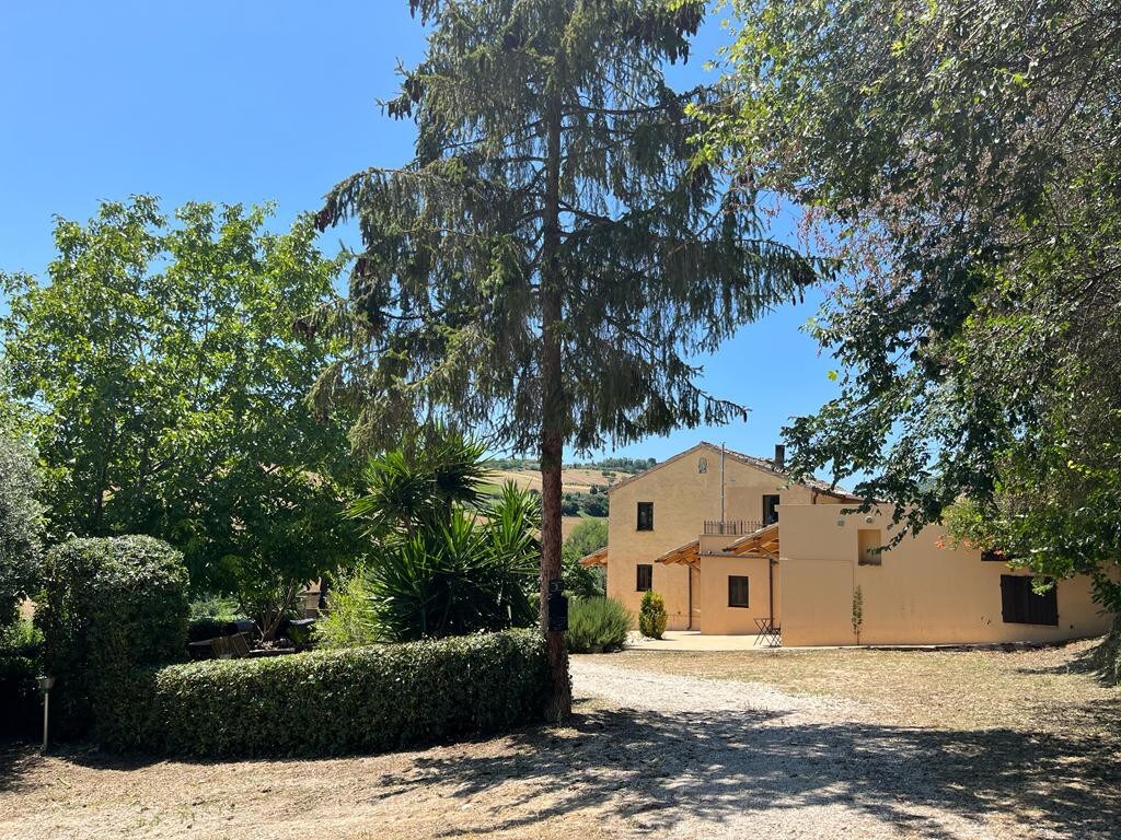 Vineyard Farmhouse in Massignano