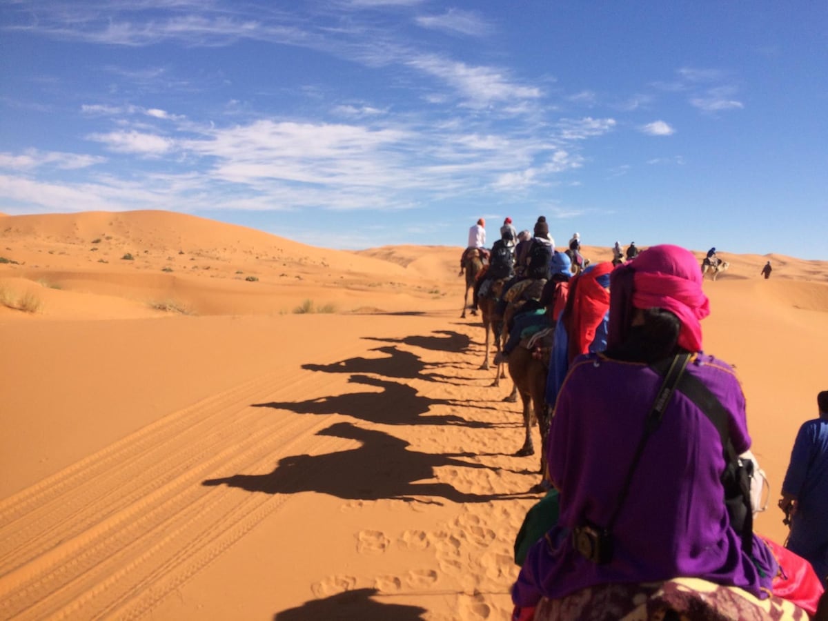 Sahara desert camel tours