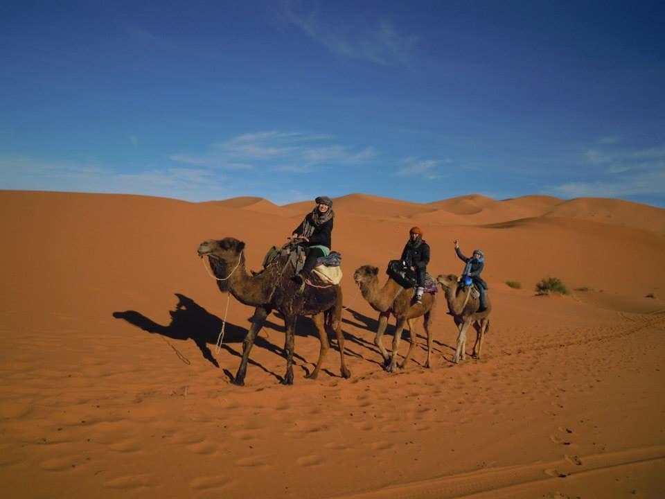 Sahara desert camel tours