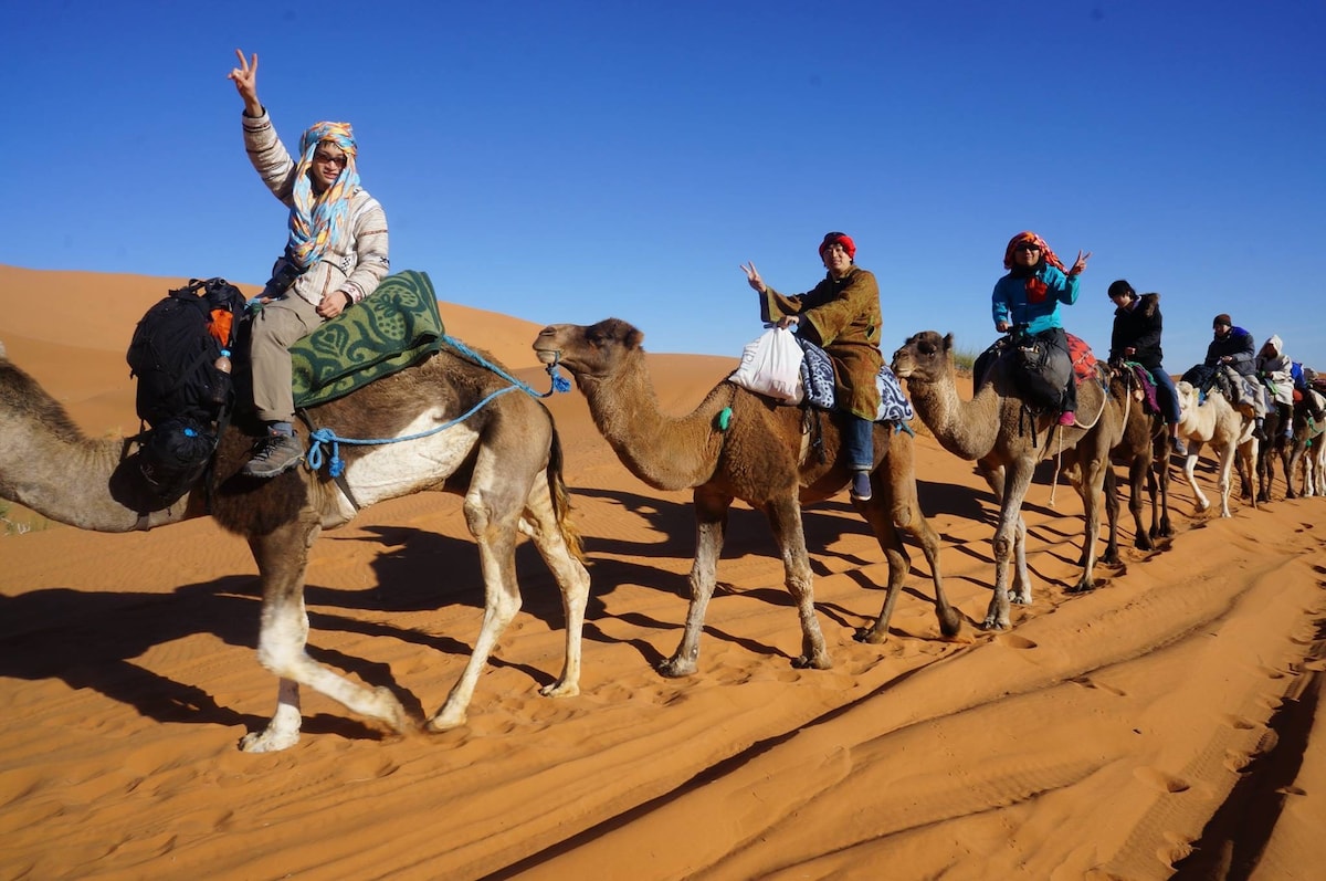 Sahara desert camel tours