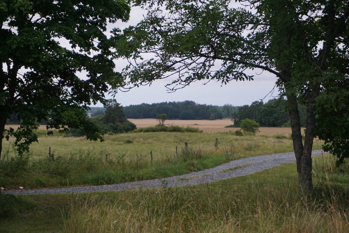 Idylliskt sommarhus nära Mälaren