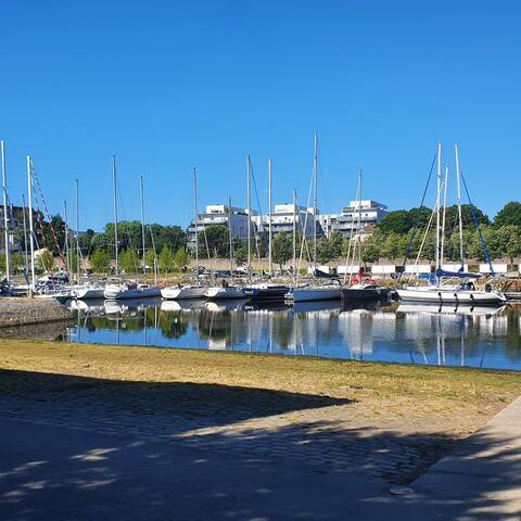 瓦讷 (Vannes)的民宿