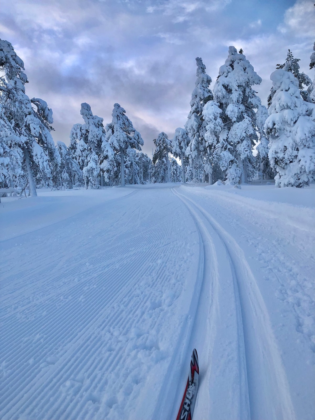 Flott hytte på Gåsbu