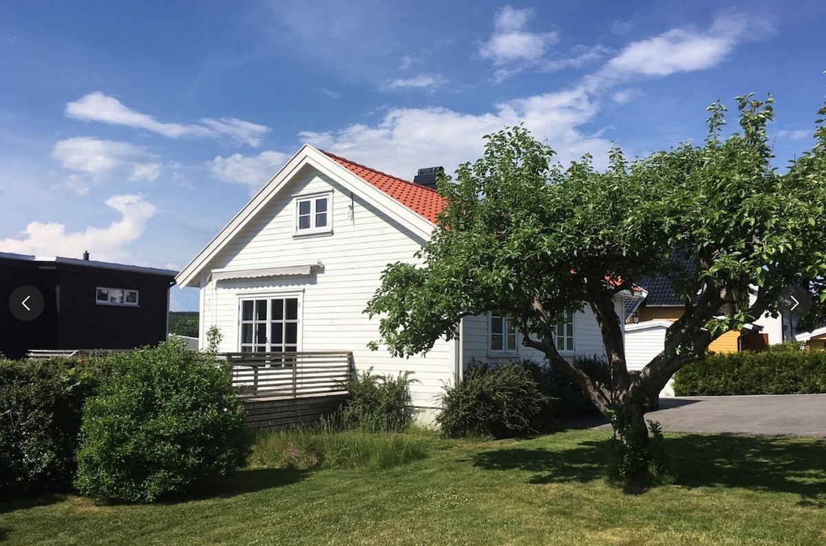 舒适的房子，在Husvik/Tangen欣赏海景。
