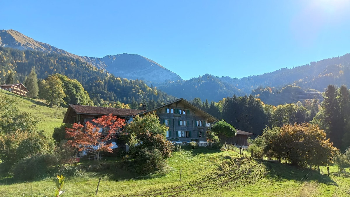 8 - Einzelzimmer mit Waldblick