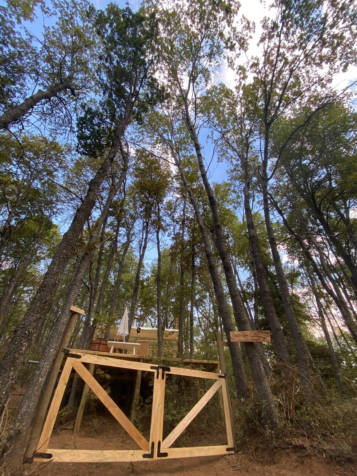 Cabaña en el bosque saltó la placeta maule