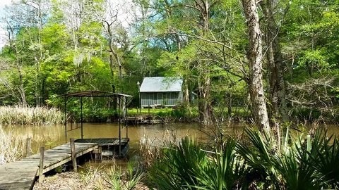 Secluded Swamp Shack