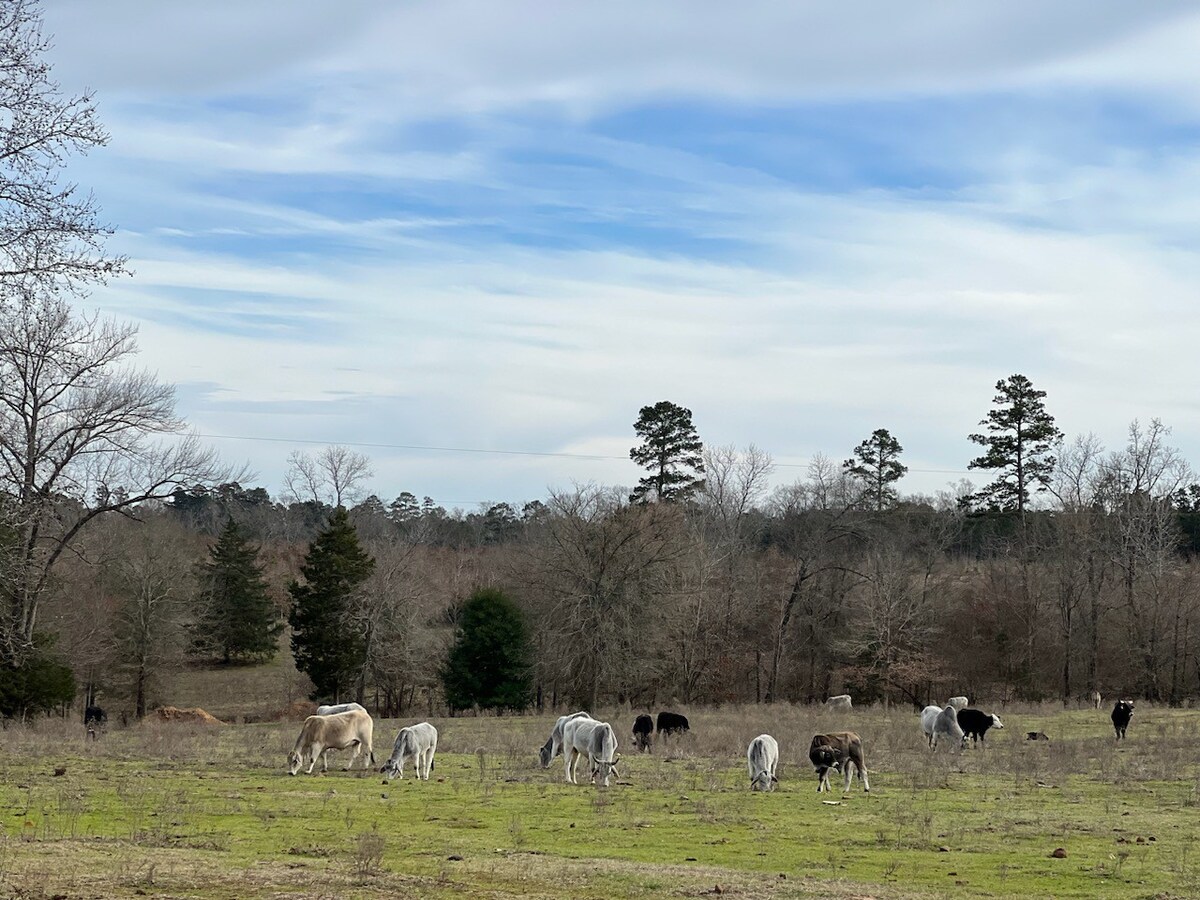 Pine Top Park