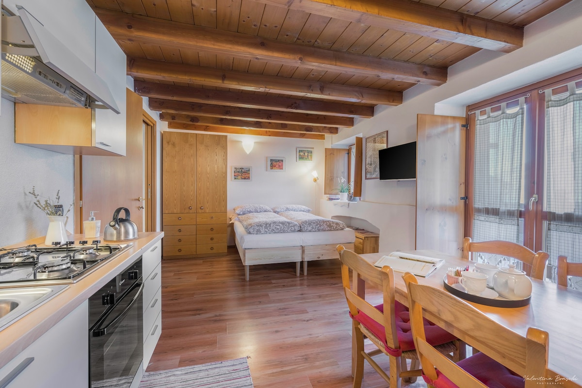 位于阿尔卑斯山的舒适公寓- Cà Selvetta度假屋