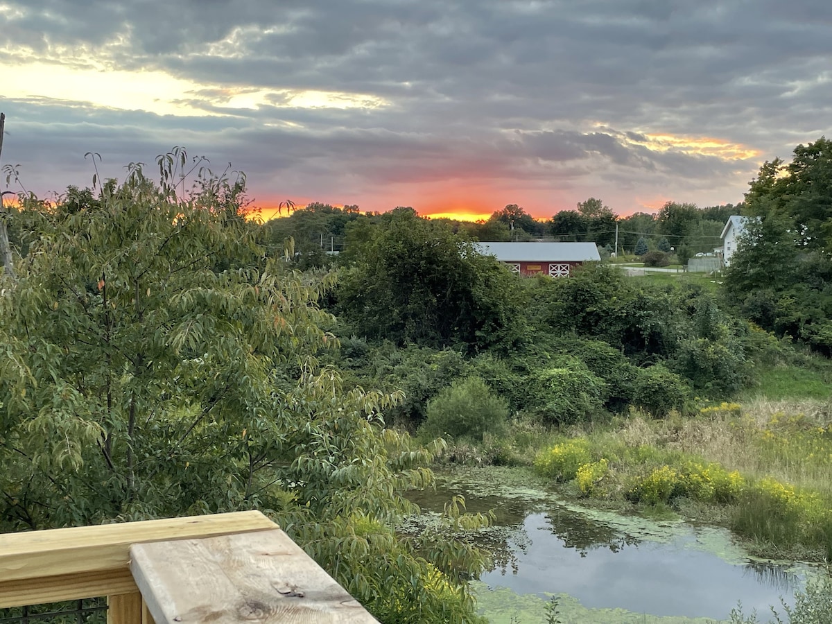 Wetlands View Apartment