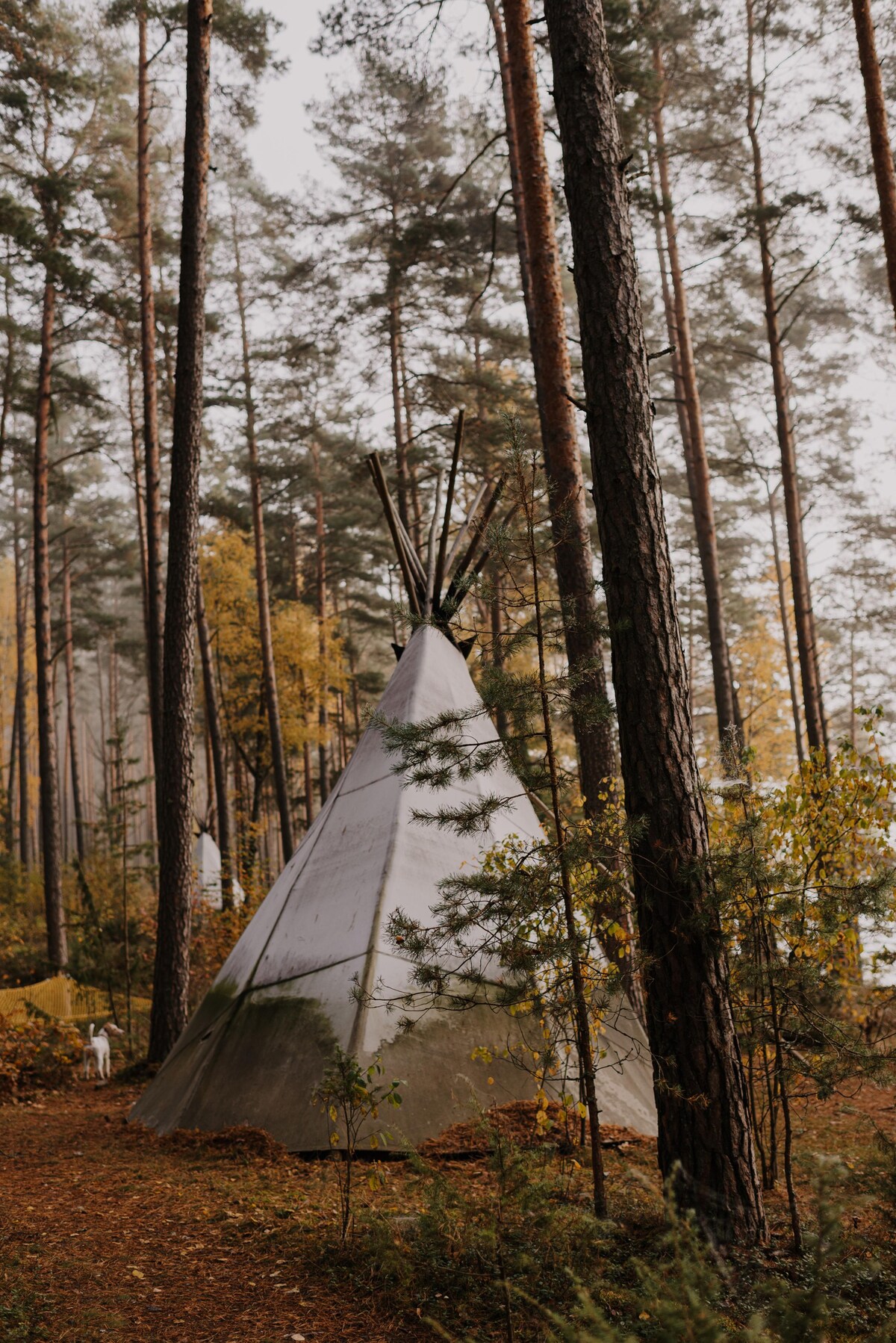带木床的印第安帐篷