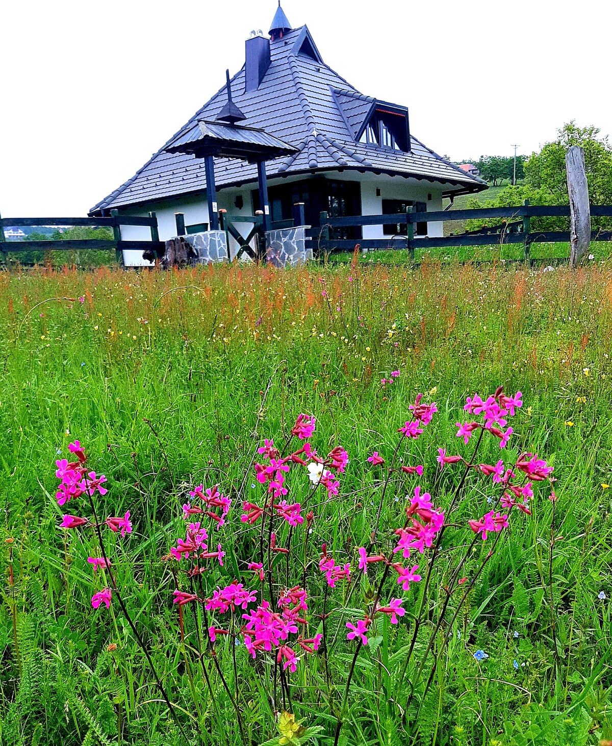 CasaMila Zlatibor