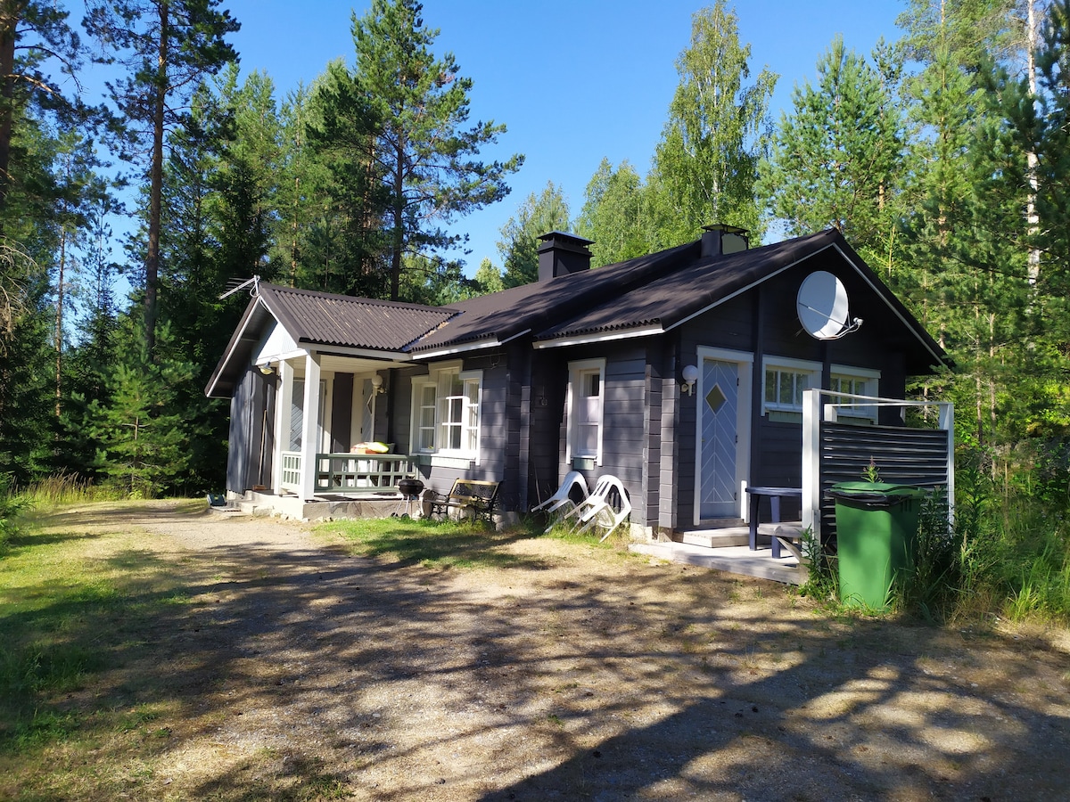 森林湖畔的乡村小屋。