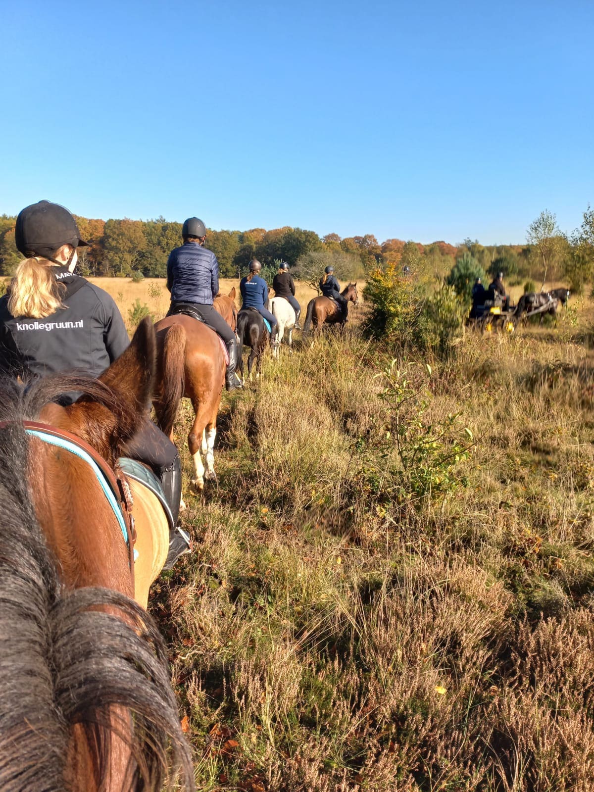 Mooie Blokhut bij Camping Knollegruun in Drenthe