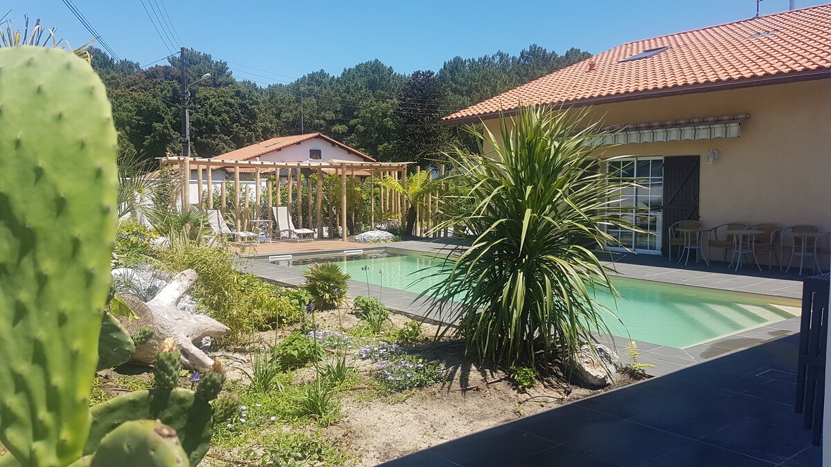 Chambre d'hôte calme avec piscine et terrasse