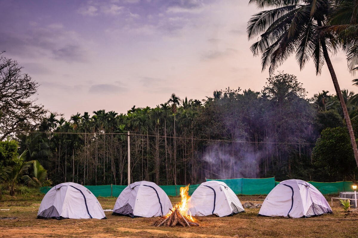 Fortune River Resort - Tent