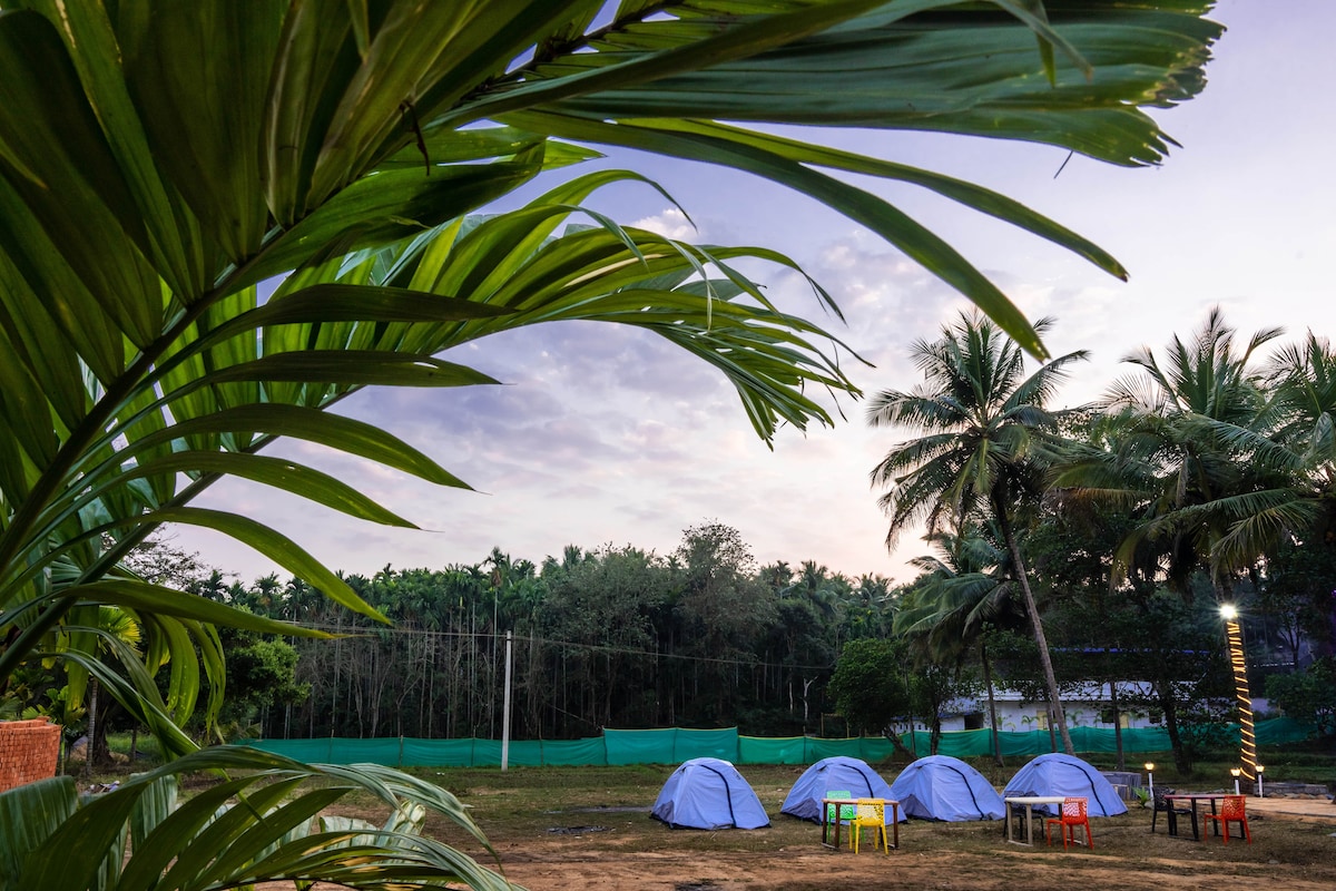 Fortune River Resort - Tent