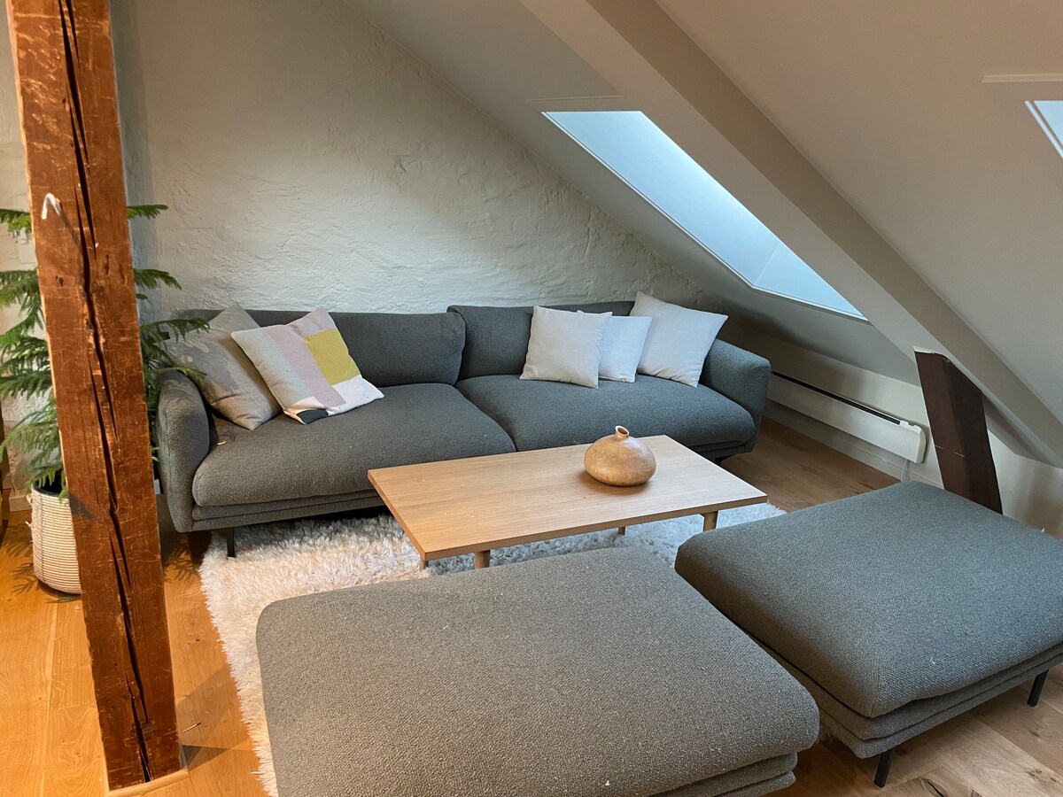 Cozy loft apartment in central Oslo