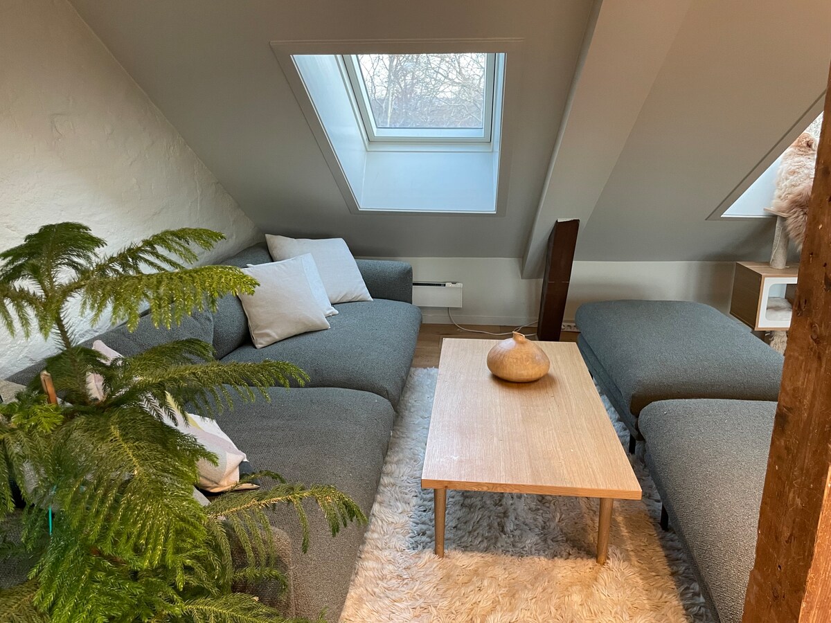 Cozy loft apartment in central Oslo