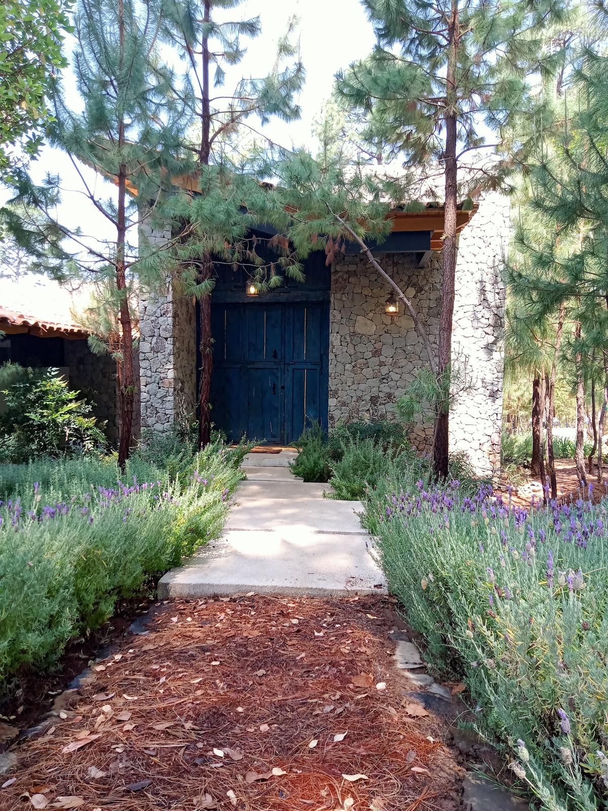 casa nomeolvides Tapalpa