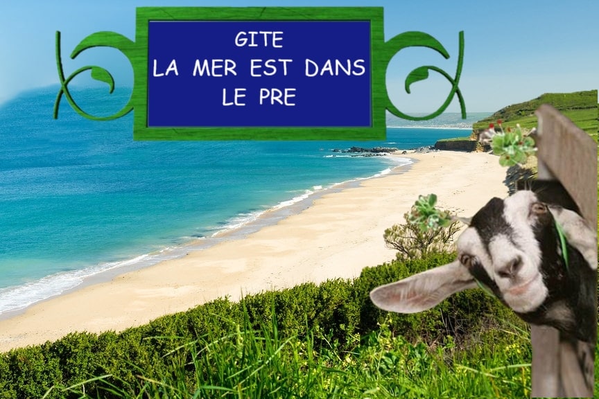 Gite -海上在草地上