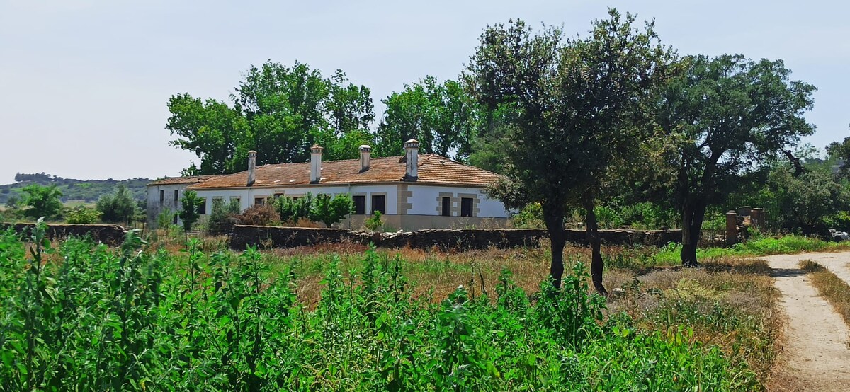 Casa Rural 3 * Finca San Bernardo