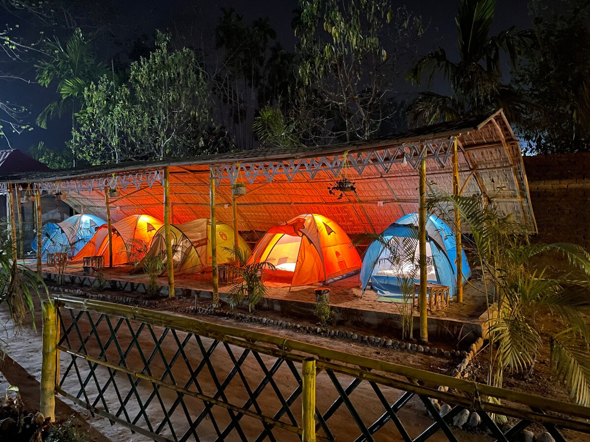 Jungle glamping tent - GOLPO KATHA