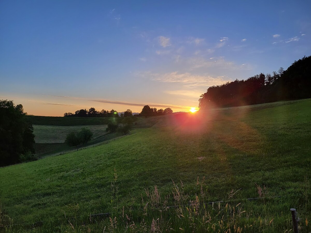 familienfreundliches, naturnahes und privates Haus